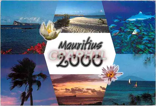 Cartes postales moderne Ile Maurice