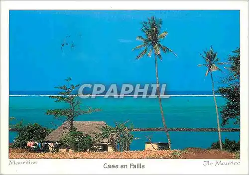 Cartes postales moderne Ile Maurice Case en Paille