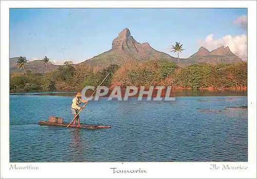 Cartes postales moderne Ile Maurice Tamarin