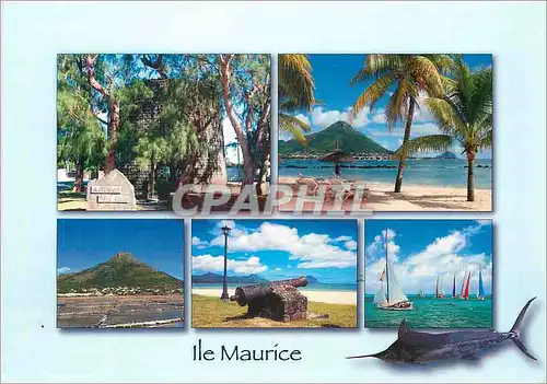 Cartes postales moderne Ile Maurice Riviere Noire