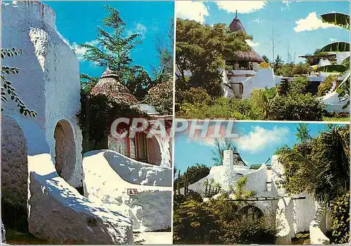 Cartes postales moderne Ile Maurice Casuarina