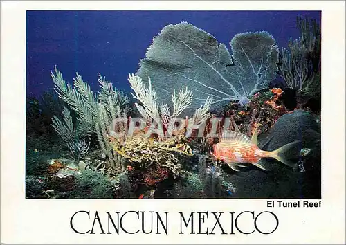 Moderne Karte Mexico Cancun El Tunel Reef