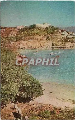 Cartes postales moderne Mexico Genuine Fischgrund Cards