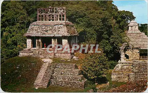 Cartes postales moderne Temple of the Sun at the Palenque ruins Palenque Chis Mexico