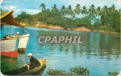 Cartes postales moderne Grijalva River view Villahermosa Tab Mexico