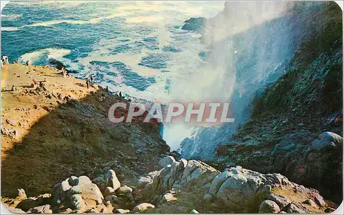 Cartes postales moderne The Marine Snorter Ensenada