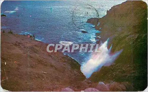 Cartes postales moderne La Bufadora The Marine Bowlole Ensenada B C Mexico