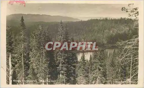 Cartes postales Norge tryvanostua nordmarken