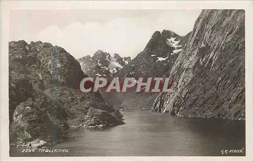 Ansichtskarte AK Trollfjord