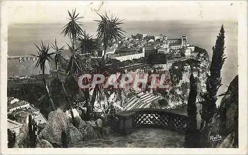 Cartes postales Le Rocher de Monaco vu des Jardins exotiques Collection la Cote d Azur