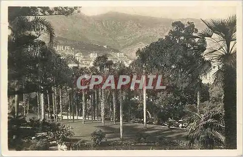 Cartes postales MONTE-CARLO Les Jardins du Casino