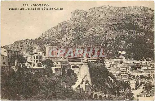 Cartes postales MONACO Palais du Prince et Tele de Chien