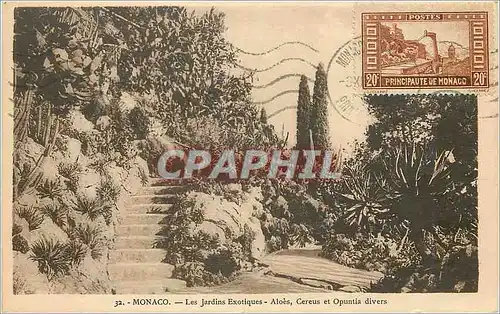 Cartes postales MONACO Les Jardins Exoliques- Aloes Cereus et Opuntia divers