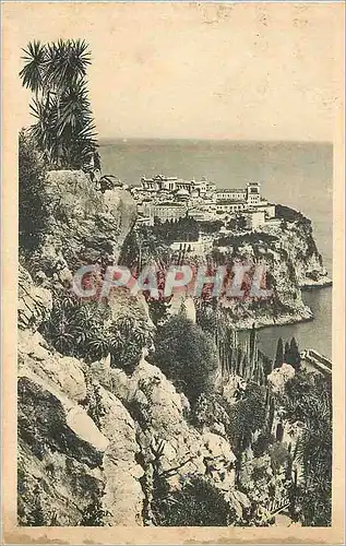 Cartes postales Cote d Azur Artistique MONACO - Vue prise du jardin exotique