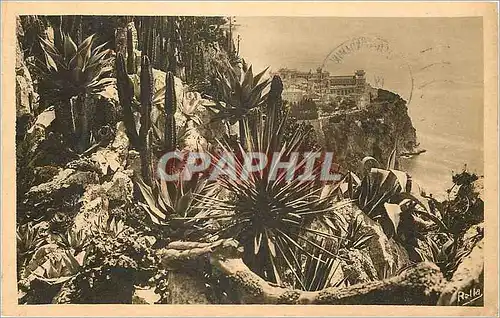 Cartes postales MONTE-CARLO � Les Jardins exotiques et le rocher de Monaco