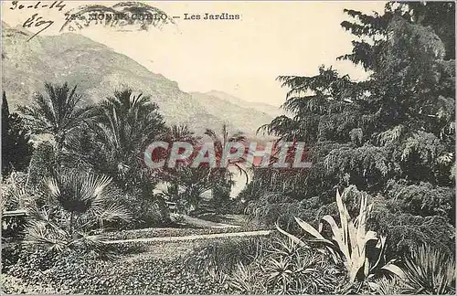 Cartes postales MONTE-CARLO - les jardins