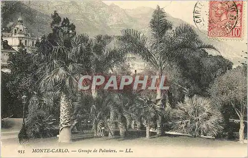 Cartes postales MONTE-CARLO � Groupe de Palmiers