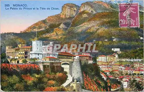 Cartes postales MONACO Le Palais du Prince et la Tete de Chien