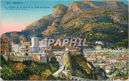 Cartes postales MONACO Le Palais du Prince et la Tele de Chien