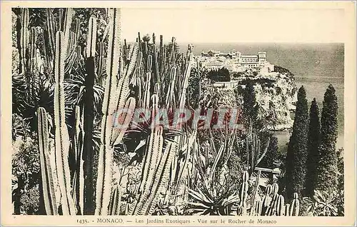 Cartes postales Monaco les jardins exotiques vue sur le rocher de monaco