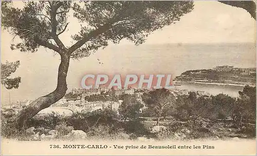 Cartes postales MONTE-CARLO - Vue prise de Beausoleil entre les Pins