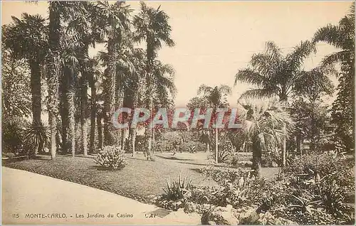 Cartes postales Monte-carlo les jardins du Casino