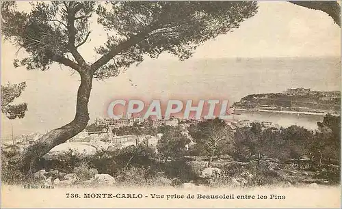 Cartes postales MONTE-CARLO - Vue prise de Beausoleil entre les Pins