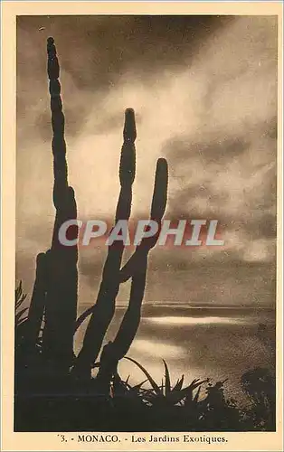Cartes postales MONACO - Les Jardins Exotiques