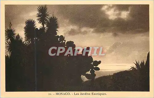 Cartes postales MONACO - Les Jardins Exotiques.