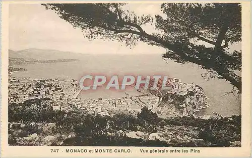 Ansichtskarte AK MONACO et MONTE CARLO. Vue g�n�rale entre les Pins