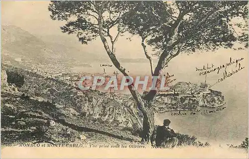 Cartes postales Monaco et Monte-carlo vue prise sous les Oliviers