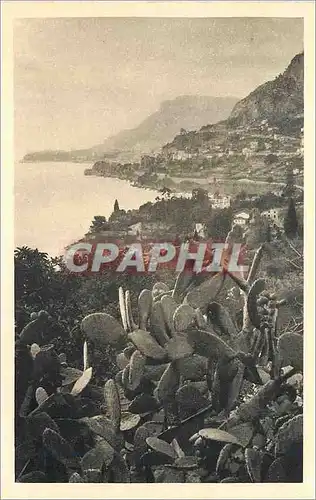 Cartes postales La Cote de Monaco � Cabbe- Roquebrune