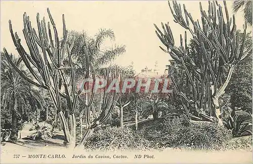 Cartes postales MONTE-CARLO. Jardin du Casino