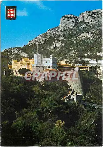 Cartes postales moderne PRINCIPAUTE DE MONACO Palais do SAS. le Prince de Monaco