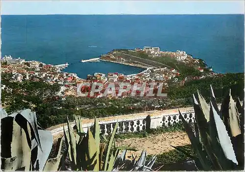Cartes postales moderne PRINCIPAUTE DE MONACO MONACO et MONTE-CARLO vus de la Turble