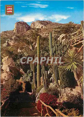 Cartes postales moderne PRINCIPAUTE DE MONACO le jardin Exotique