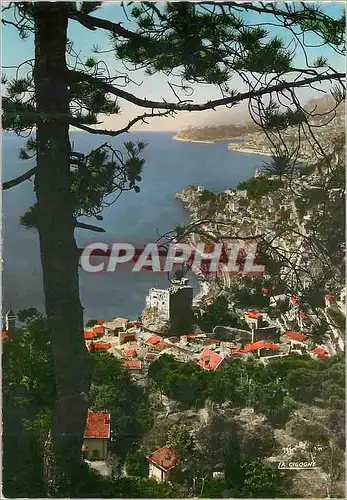 Cartes postales moderne PRINCIPAUT� DE MONACO Vue prise du vieux village de Roquebrune