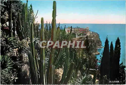 Cartes postales moderne MONACO les Jardins Exotiques Vue sur le Rocher de Monaco