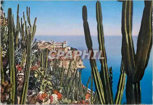 Cartes postales moderne MONTE-CARLO Le Rocher de Monaco vue des Jardins Exotiques