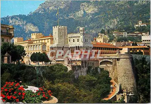 Cartes postales moderne PRINCIPAUTE DE MONACO le palais princier