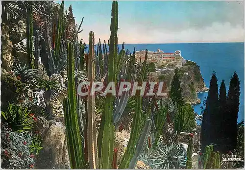 Moderne Karte MONACO - Les jardins exotiques Vue sur le rocher de Monaco