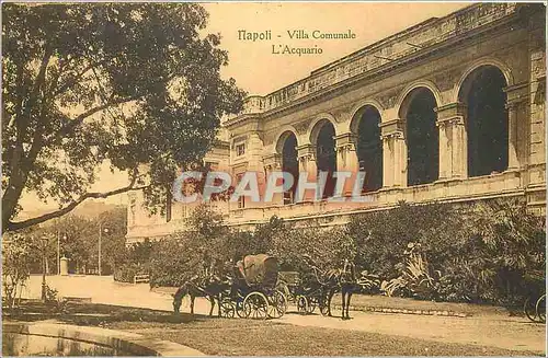 Cartes postales moderne Napoli - Villa Comunale L Acquario