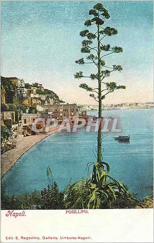 Cartes postales moderne Napoli POSILLIPO