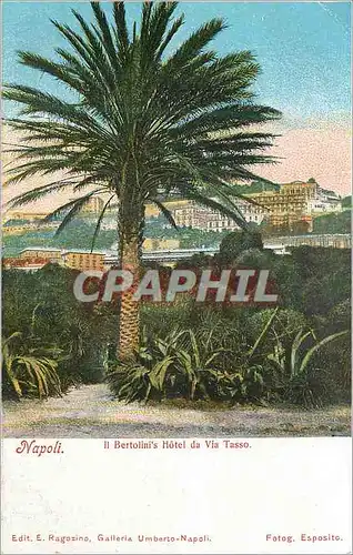 Cartes postales moderne Napoli  Bertolini's Hotel da Via Tasso.