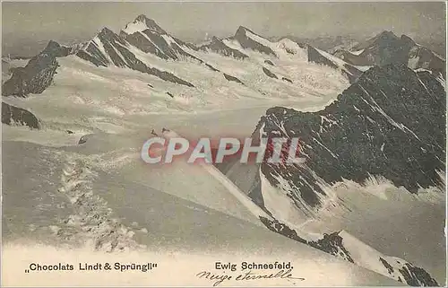 Cartes postales Chocolats Lindt Sprungll Ewig Schneefeld