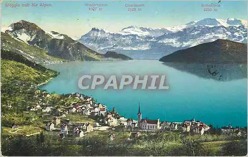 Cartes postales Weggis und die Alpen