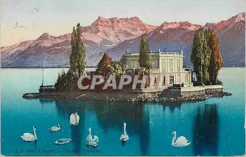 Cartes postales Clarens Ile des Mouettes Cygnes