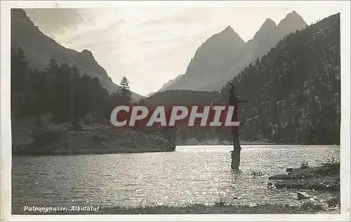 Cartes postales Palpuogranasee Albulatal