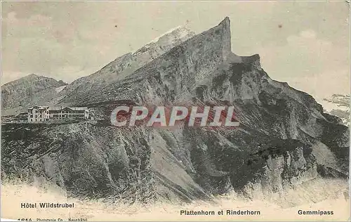 Cartes postales Hotel Wildstrubel Plattenhorn et Rinderhorn