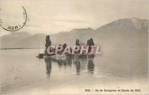Cartes postales Ile de Salagnon et Dents du Midi